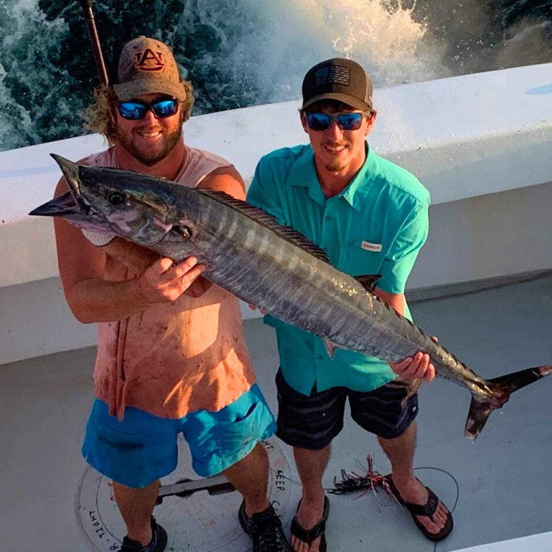 fish caught on private fishing offshore fishing trip out of Fort Morgan, Alabama