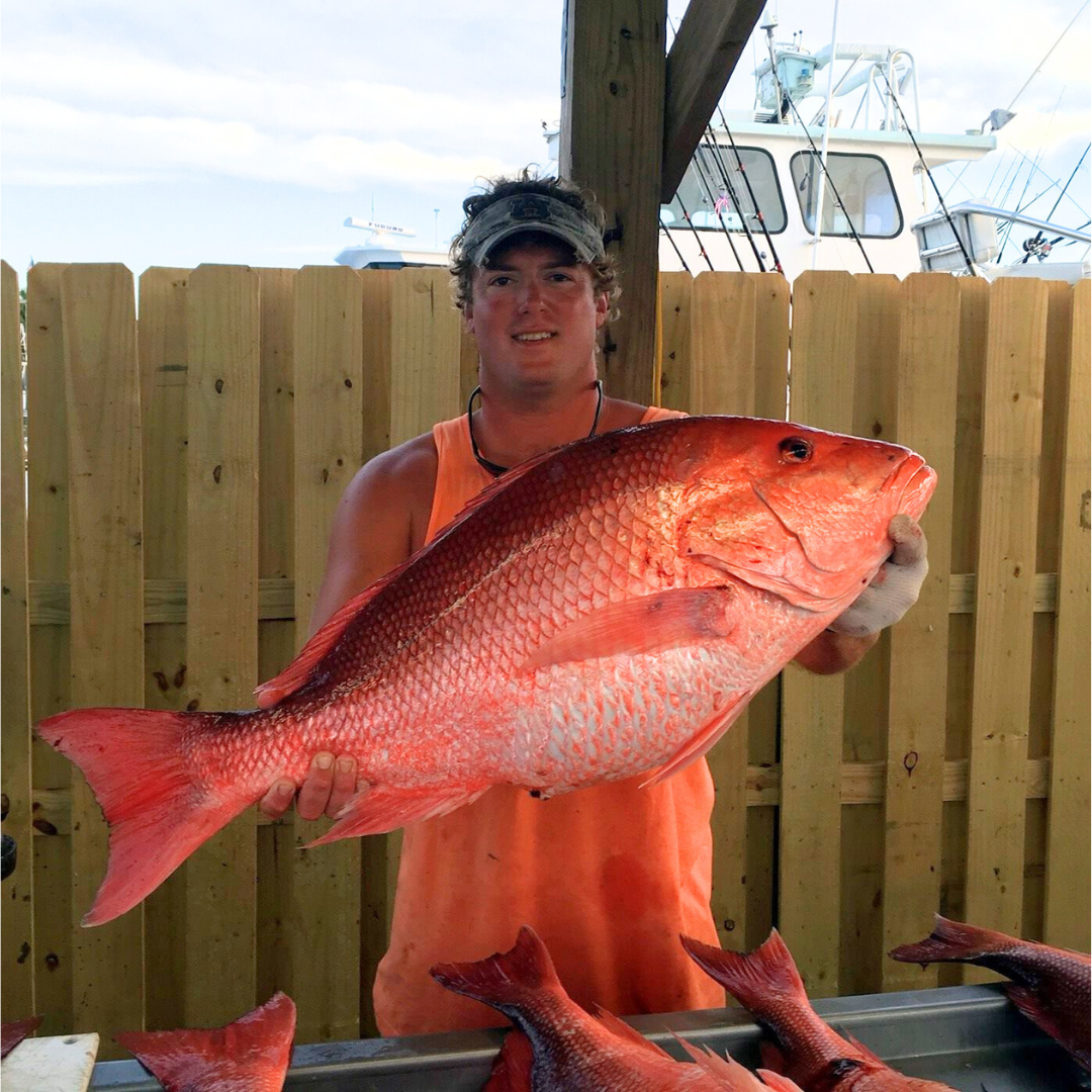 red snapper caught on full day offshore fishing trip near fort morgan, alabama