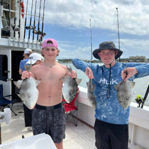 triggerfish caught out of Fort Morgan aboard the No Doubt