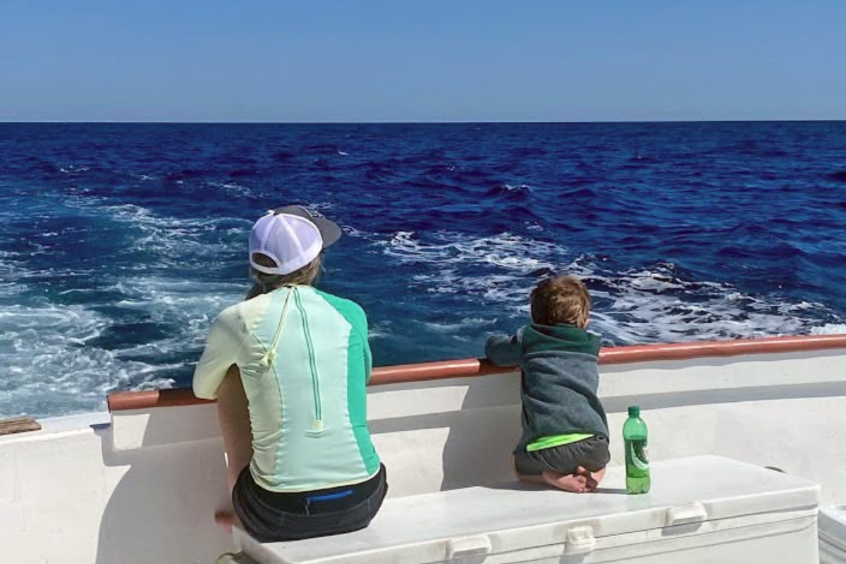 mother and son dolphin watching on cruise home from offshore fishing trip out of fort morgan, alabama