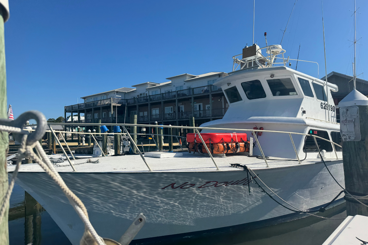 no doubt offshore recreational fishing boat out of fort morgan, alabama