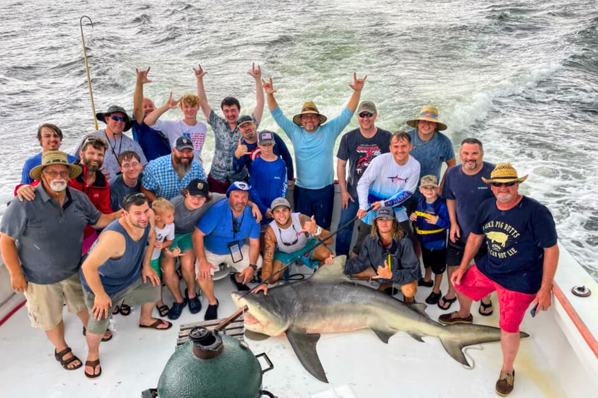 large group of men posing with huge shark that they caught on the no doubt of the gulf coast of alabama