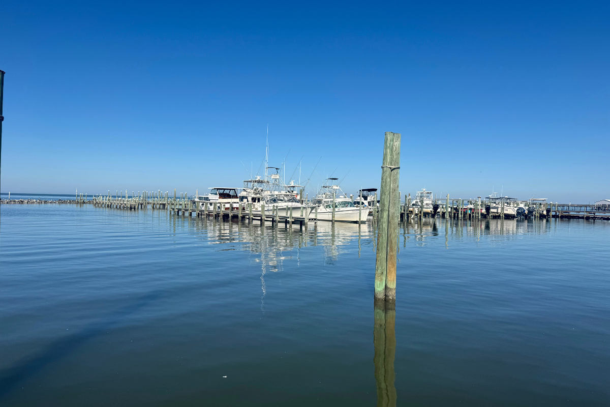 a beautiful, quiet view of Fort Morgan marina looking out onto Mobile Bay