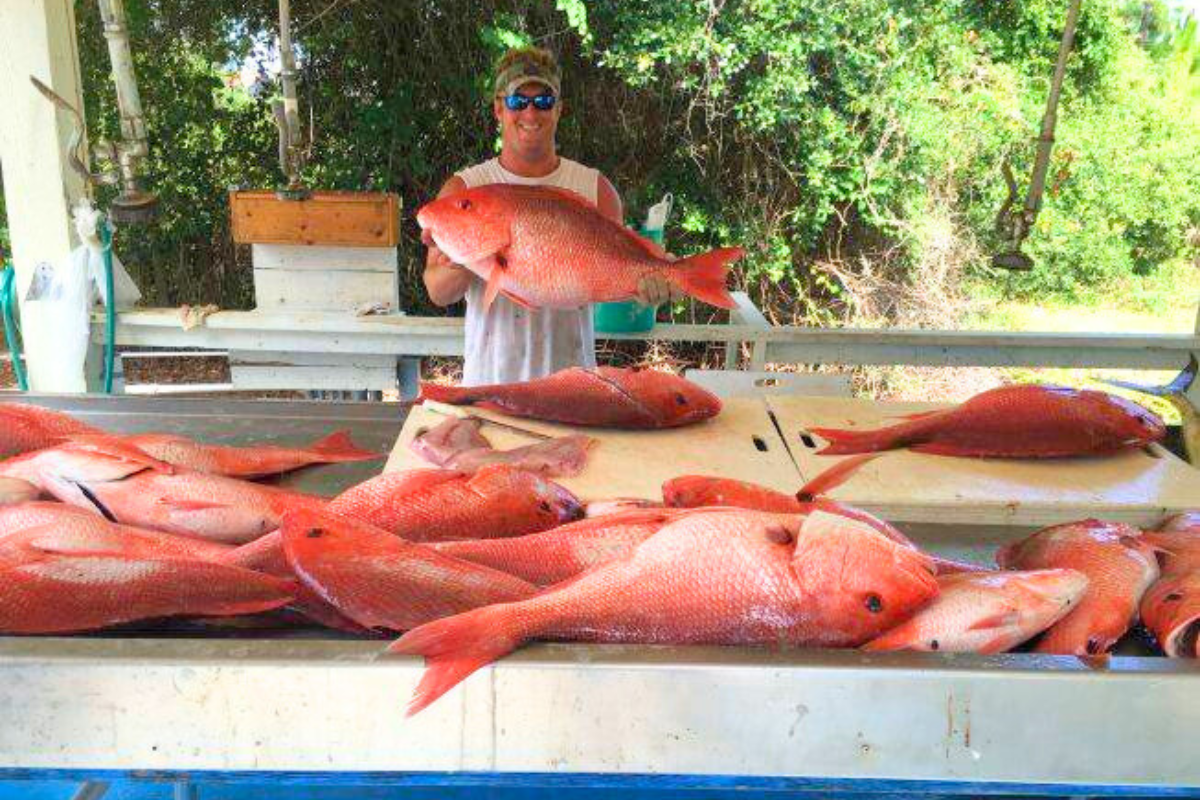 red snapper caught on private deep sea charter boat off the Alabama gulf coast